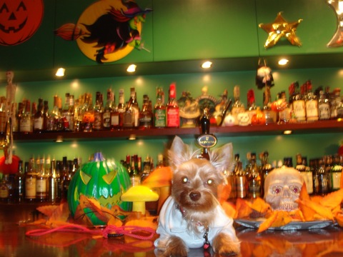赤坂店内 | アルバトロス 赤坂のジャズバー JAZZ BAR